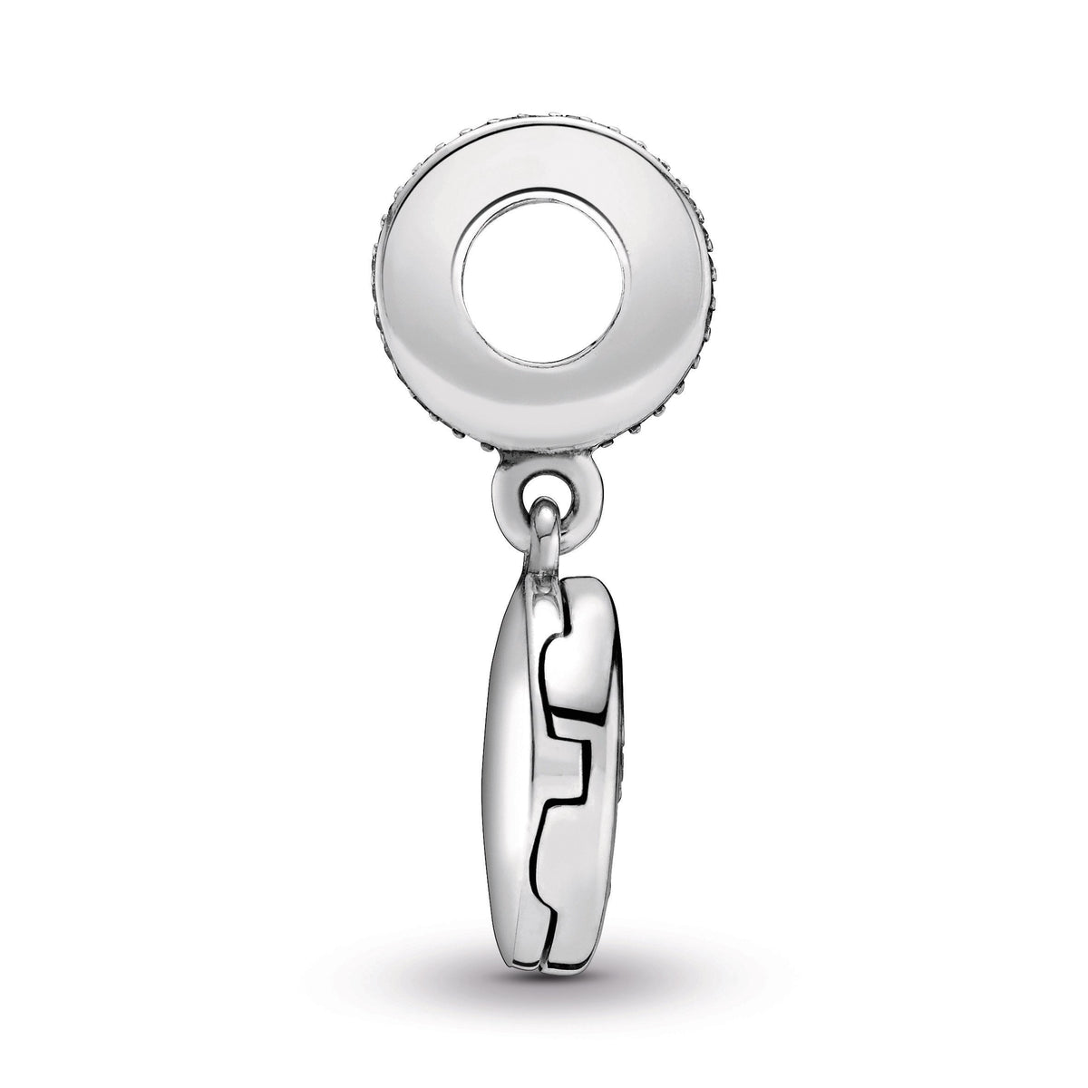 Family Roots Dangle Charm