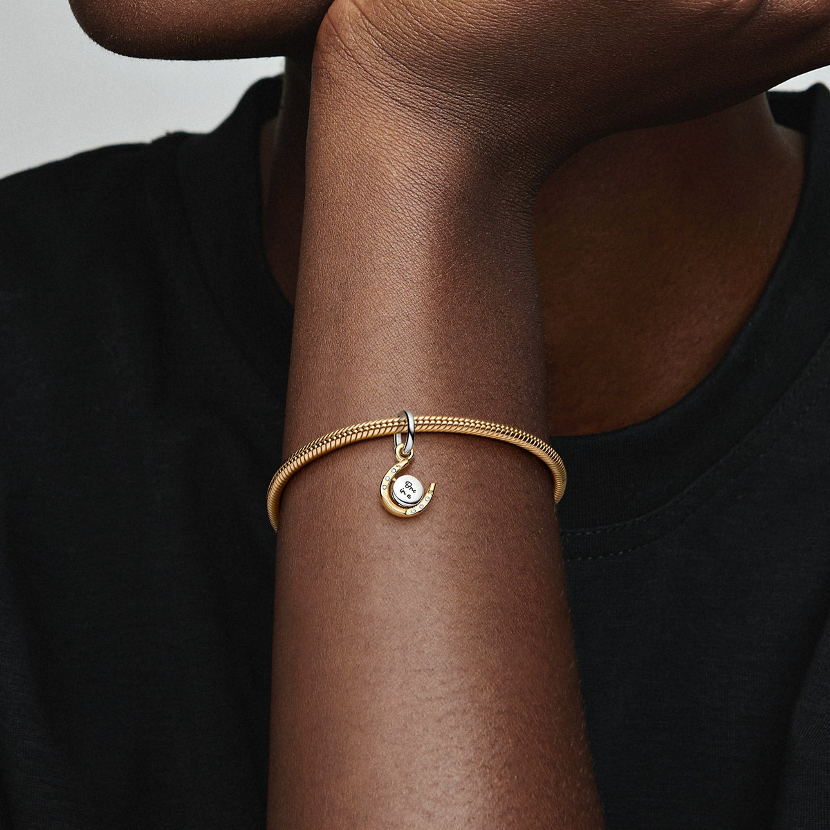 Two-tone Spinning Disc Horseshoe Dangle Charm