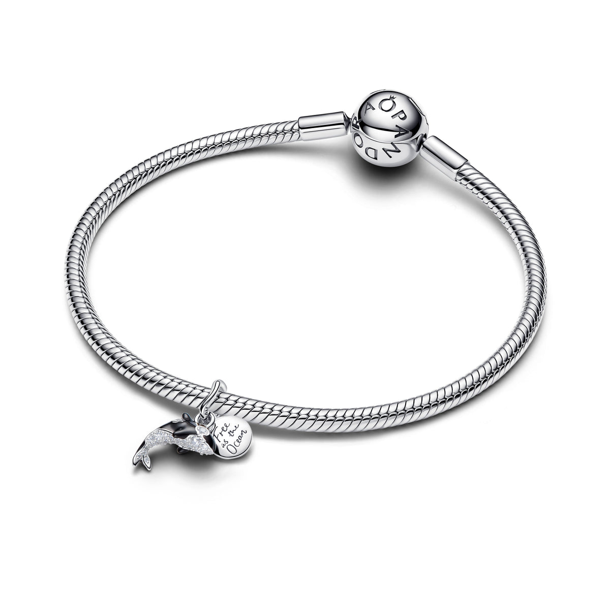 Orca Dangle Charm